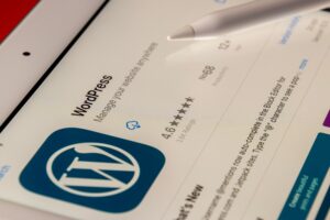 WordPress themes