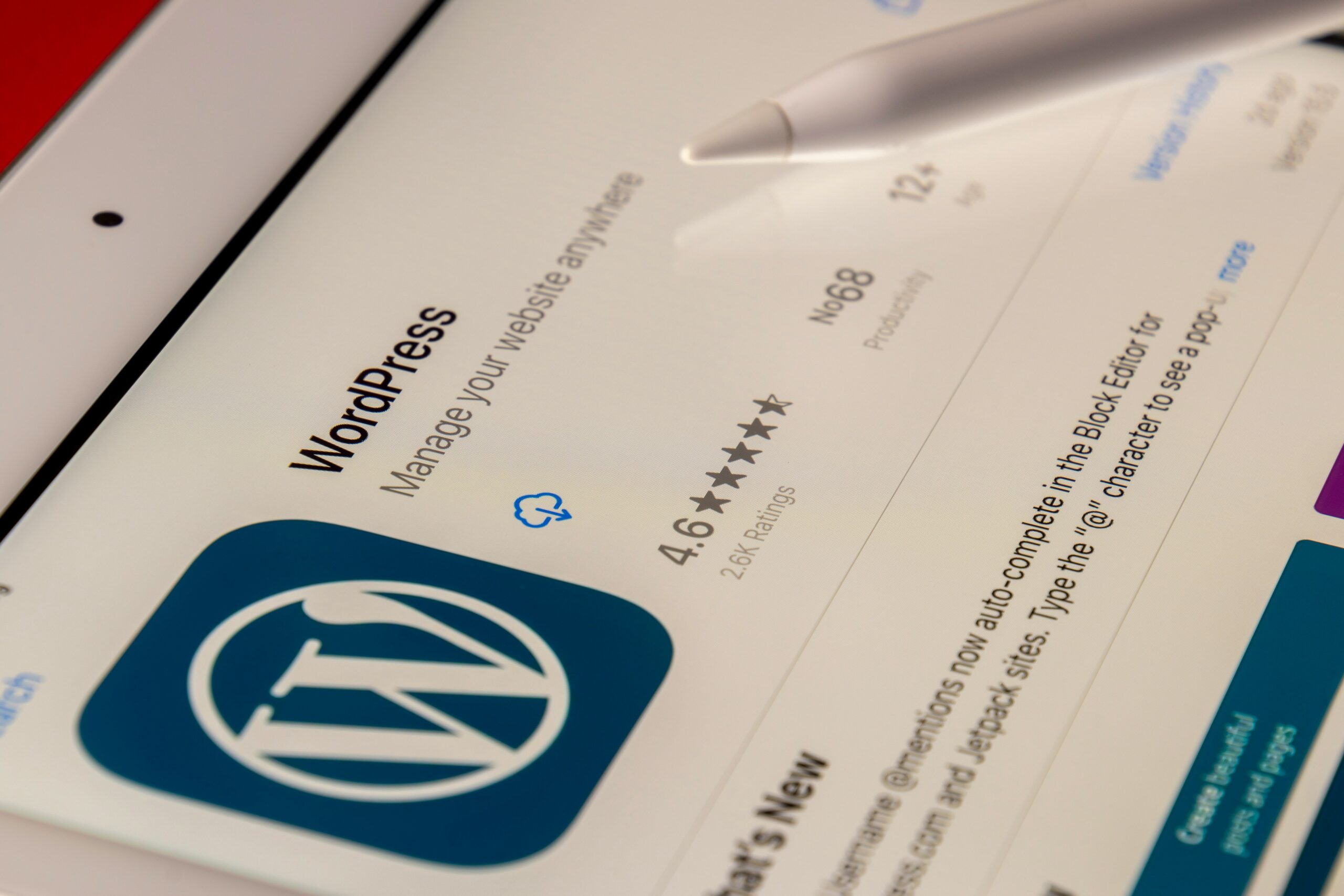 WordPress themes